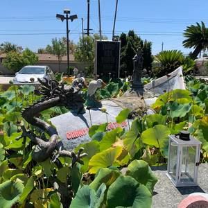 Meet your Posher, Danh